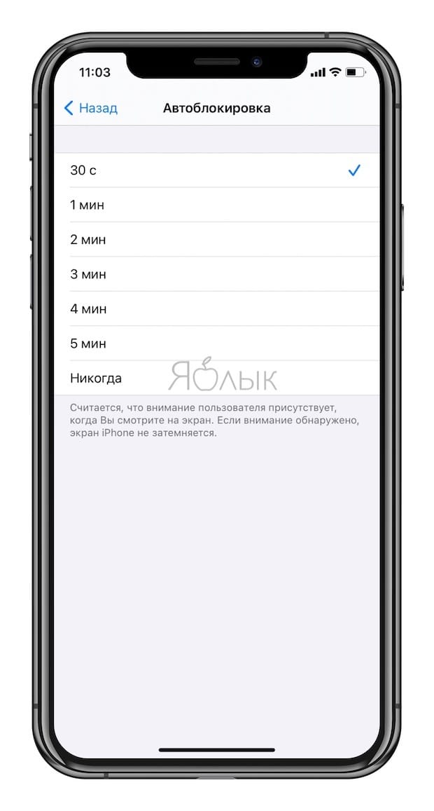 Как изменить время автоблокировки на Айфоне и Айпаде