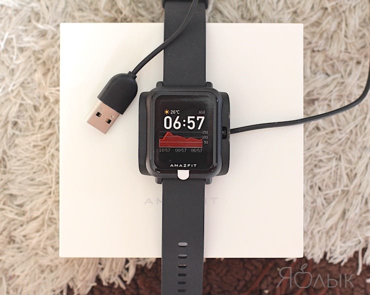Обзор часов Xiaomi Amazfit Bip S Lite