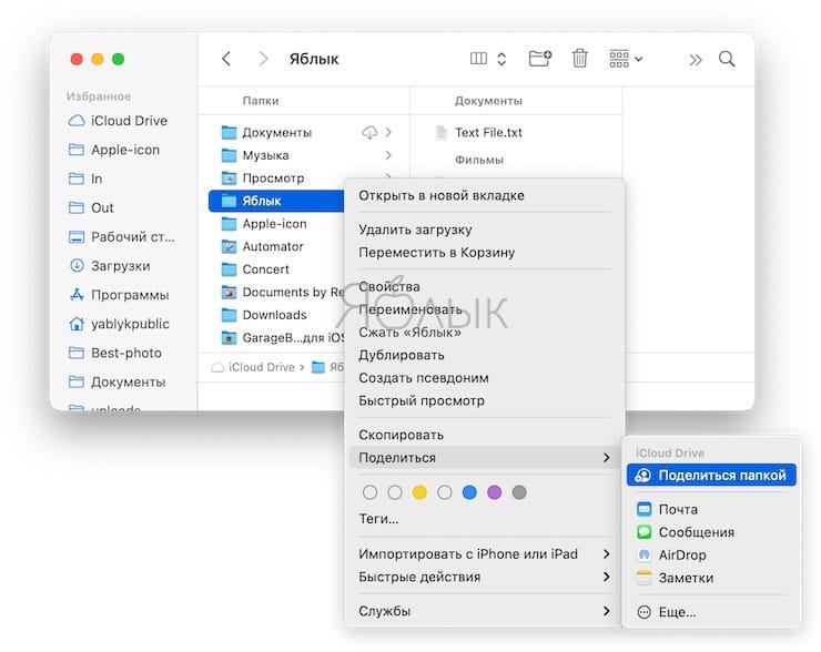 Песня айклауд. Расшарить папку в ICLOUD. Айклауд драйв как открыть файл. Пароль на папку ICLOUD. Общий доступ к папке на айфон.
