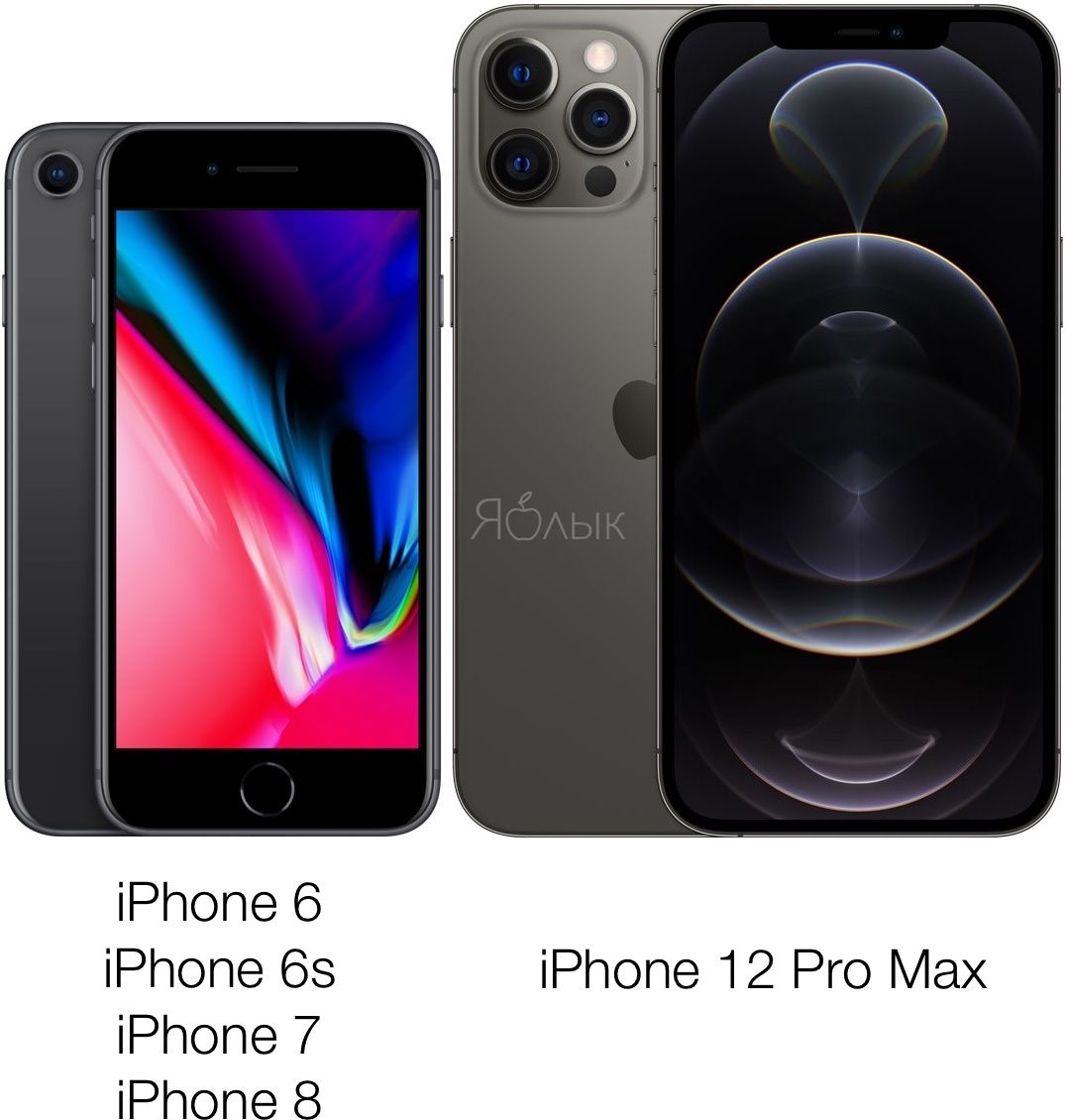 Сравнение размеров iPhone 12, 12 Pro Max, 12 mini, 11, 11 Pro, SE 2, XR,  XS, X, 8 Plus, SE, 8, 7, 6, 5 - Яблык: технологии, природа, человек