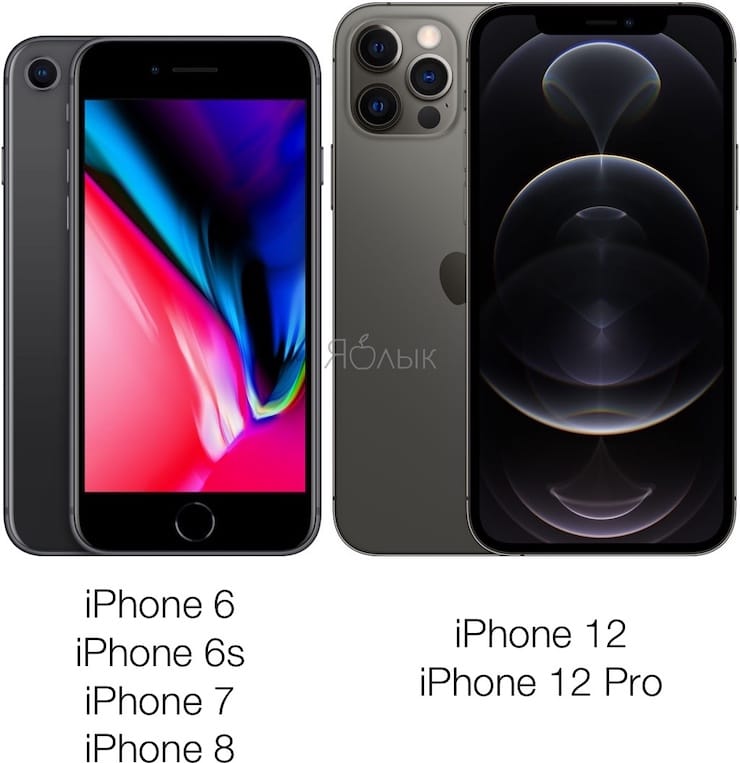 Сравнение размеров iPhone