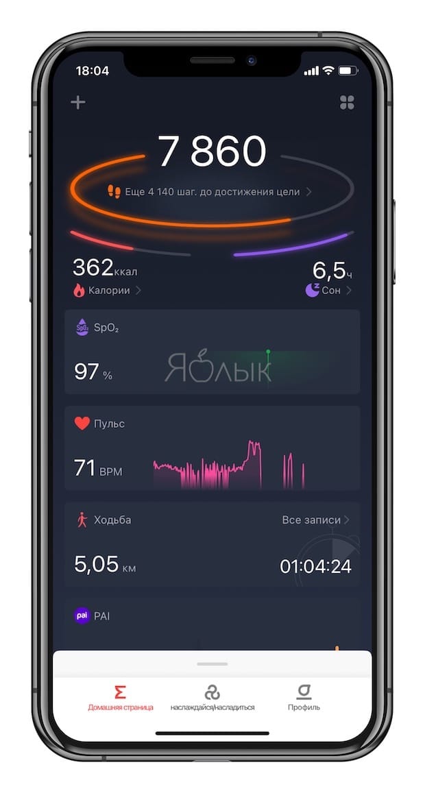 Zepp app for working with Amazfit Band 5
