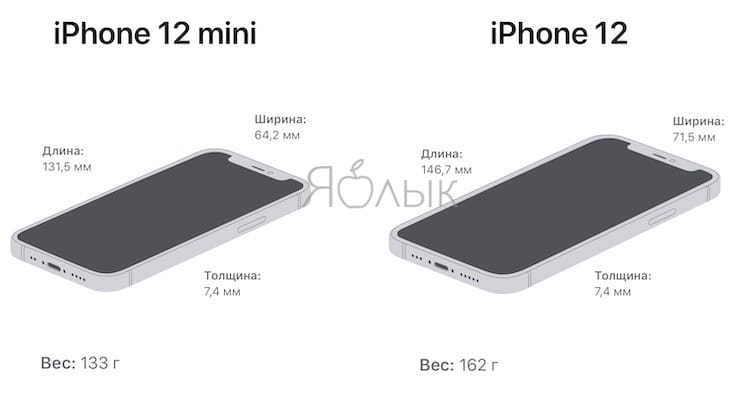 Сравнение размеров iPhone 12 и iPhone 12 mini