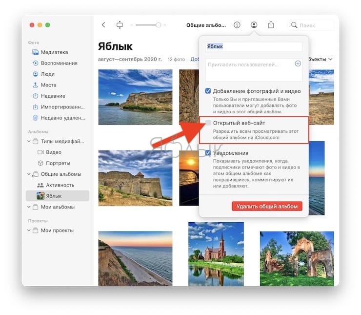 How to Create a Shared Photo (Video) Album in Website View with URL Links on Mac