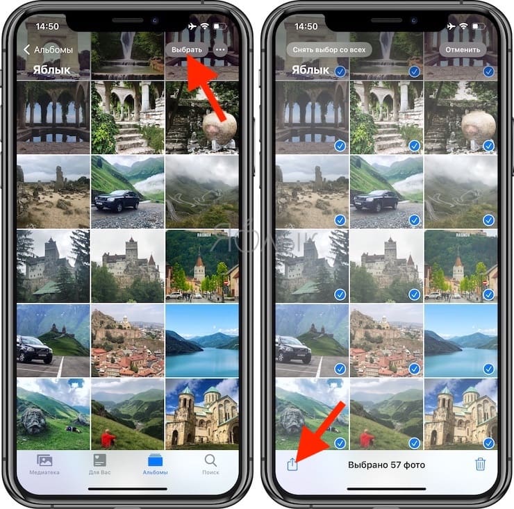 How to get a link to a photo or video from iPhone (iPad) and share it