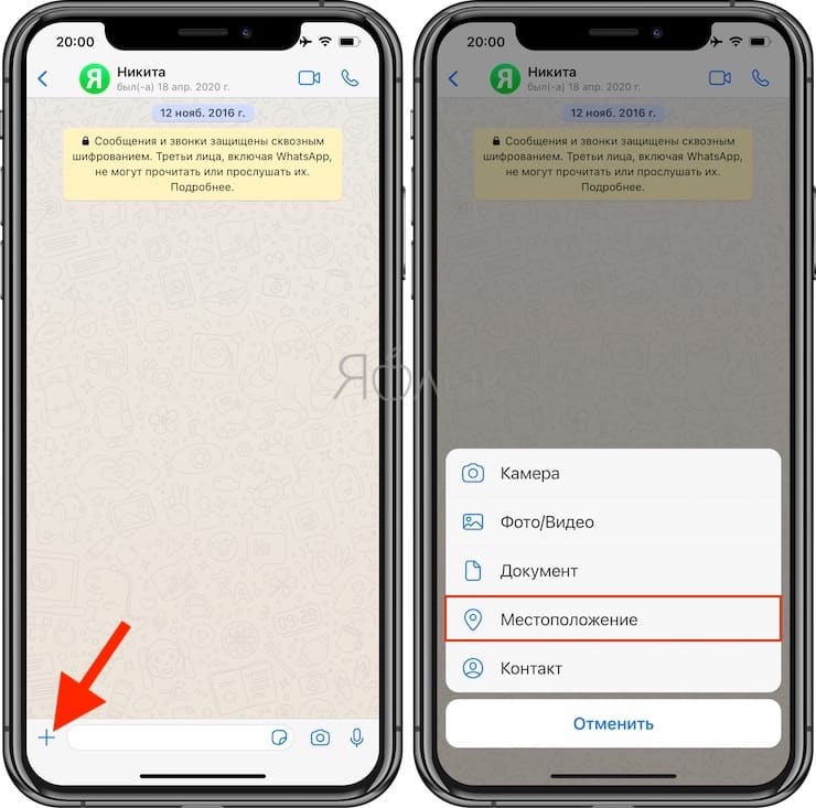 Ватсап сообщение на айфон. Поделиться геолокацией в ватсапе на айфоне. Местоположение в вацап айфон. Поделиться геопозицией iphone в ватсап. Местоположение в ватсапе с айфона.