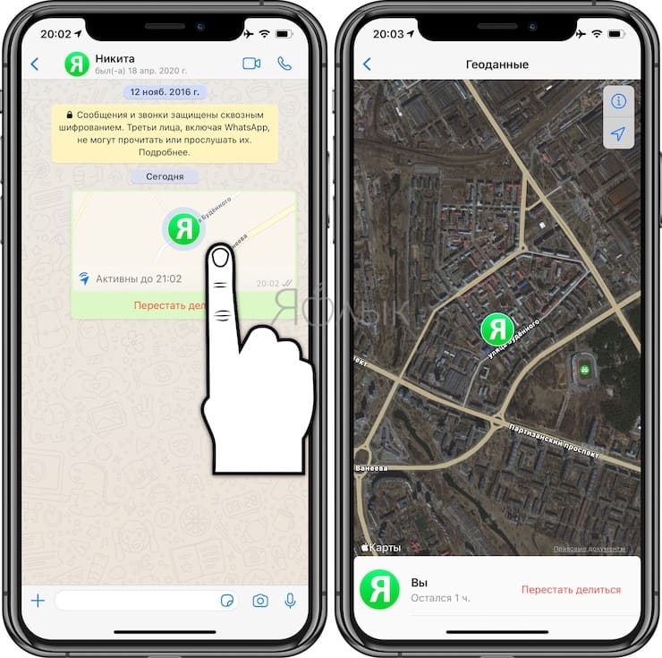 Как поделиться геопозицией (местоположением) в WhatsApp на iPhone