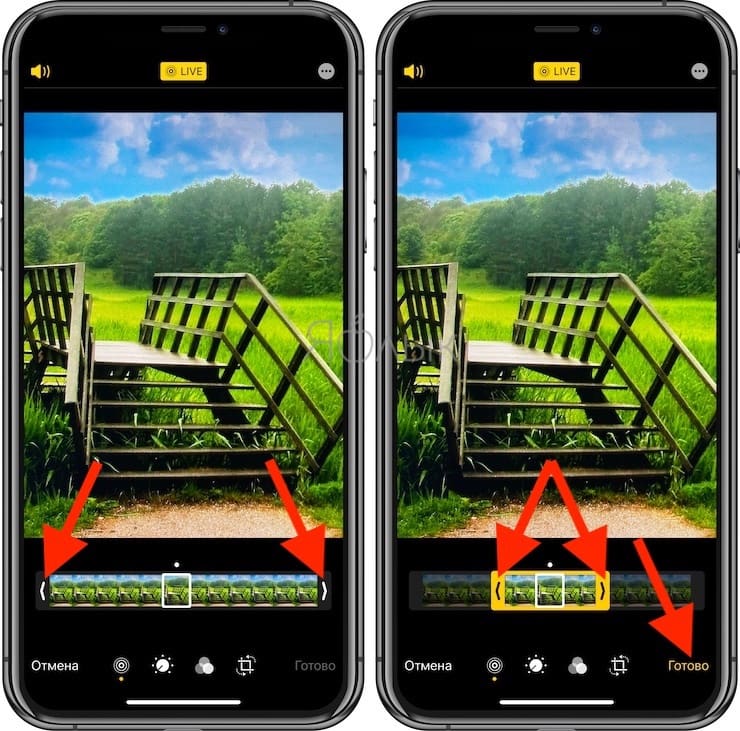 Как из лайф фото выбрать нужный кадр на айфоне