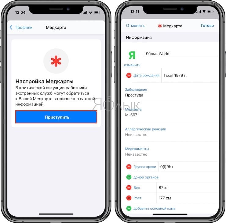 How to create your own medical record on iPhone?