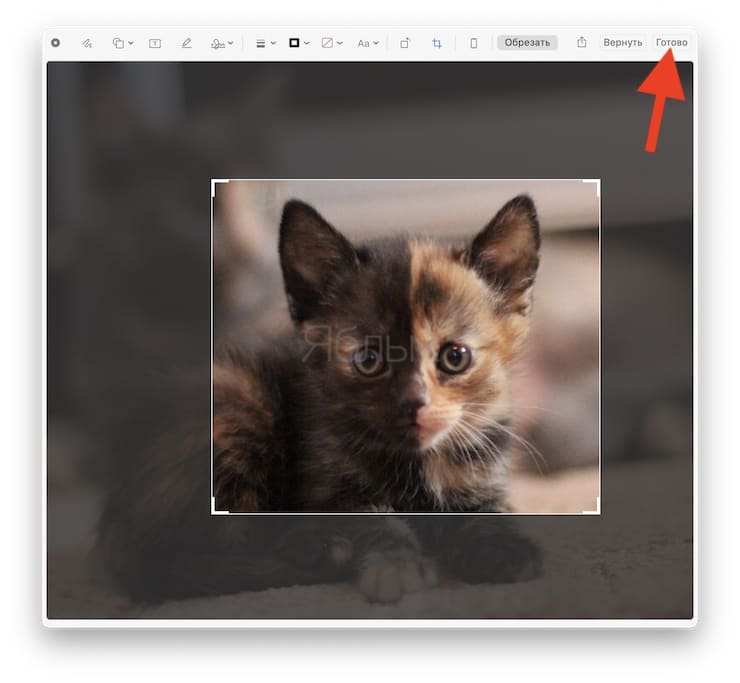 How to quickly crop (crop) photos on Mac