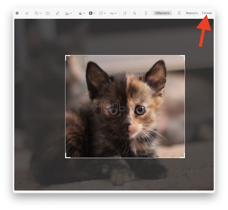 Быстро обрезал. Как обрезать фото на маке. Как обрезать фото на макбуке. Как сделать обрезать фото на макбуке. Как обрезать фото макбук.