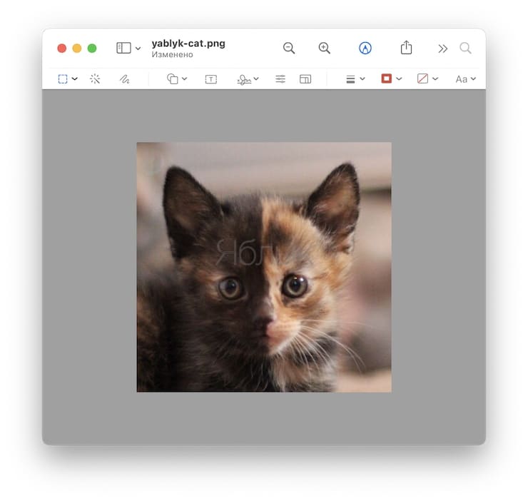 Как вырезать картинку на макбуке