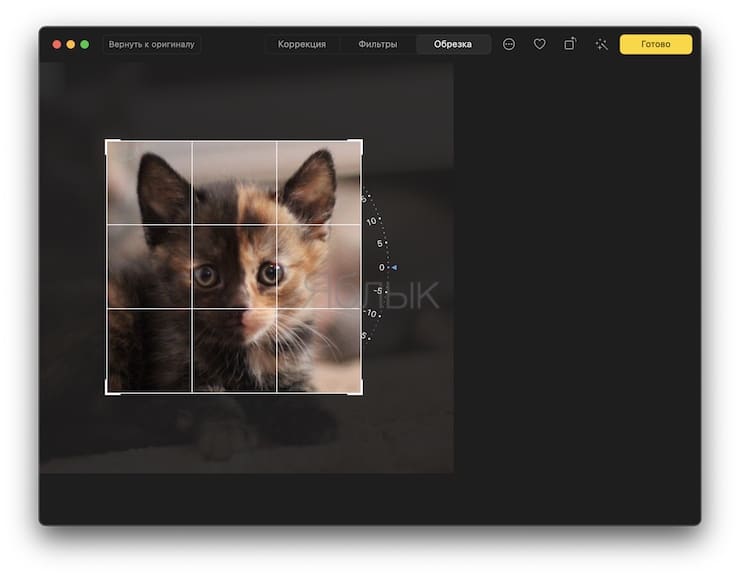 Как обрезать фото на макбуке в просмотре