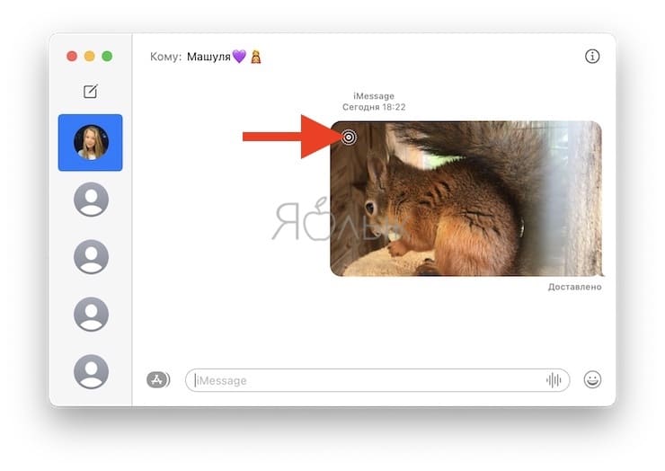 Как передать (и просматривать) Live Photo с iPhone на Mac