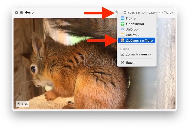 How to Transfer (and View) Live Photos from iPhone to Mac