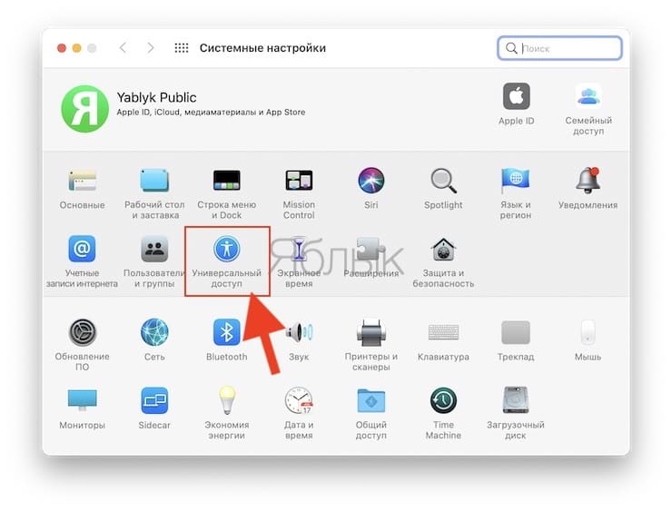 How to enable / disable cursor magnification on Mac (macOS)
