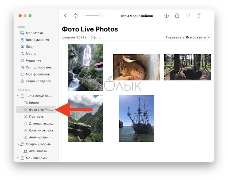 Как передать Live Photo с iPhone на Mac