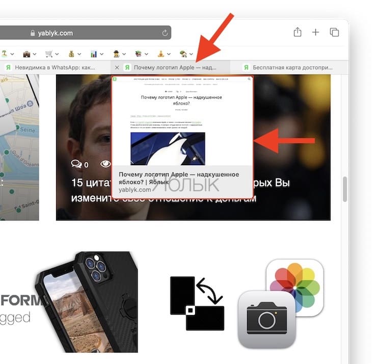 How to turn off tab preview in Safari on Mac?