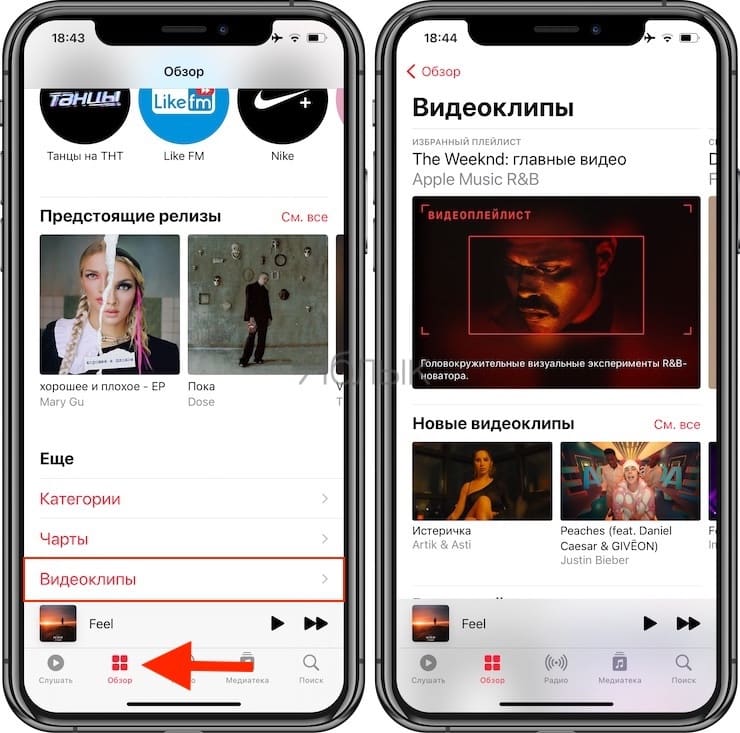 Как смотреть (сохранять) видеоклипы в Apple Music на iPhone