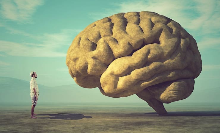 Правда ли, что человек использует свой мозг только на 10%?
