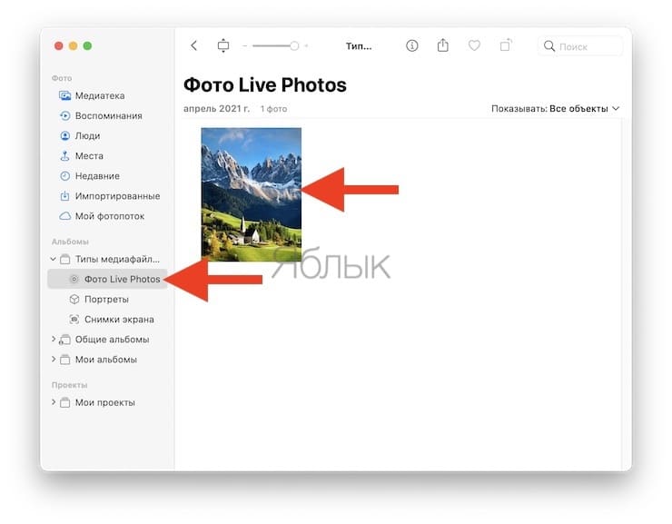 Как превратить Живые фото в gif-файл на Mac