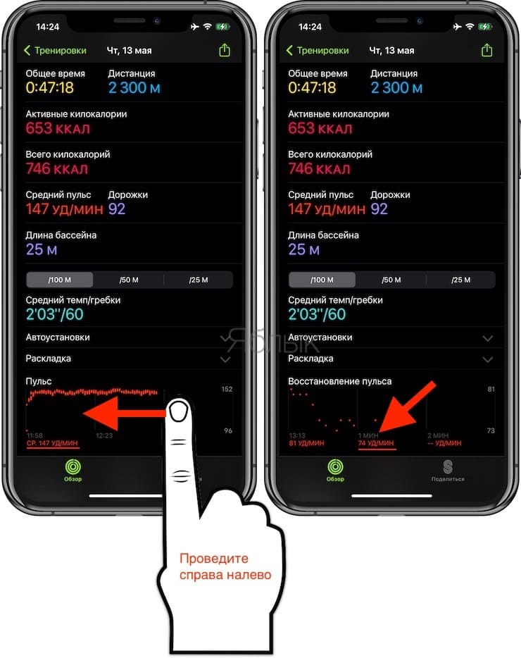 Pulse recovery: what is it, what is the norm and how to look at Apple Watch and iPhone