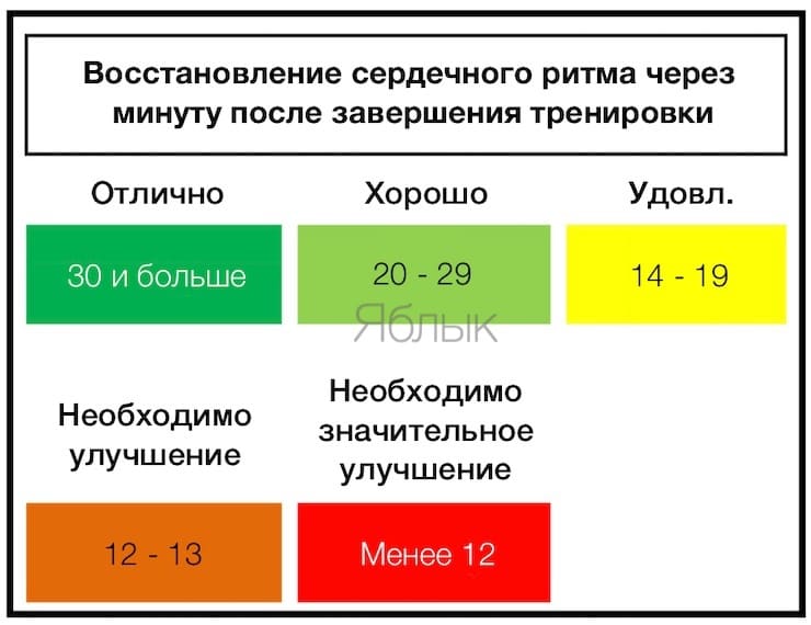 Pulse recovery: what is it, what is the norm and how to look at Apple Watch and iPhone