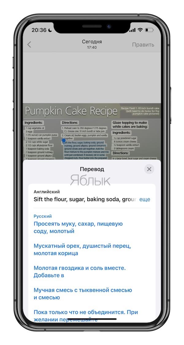 Как распознавать текст с фото в iPhone