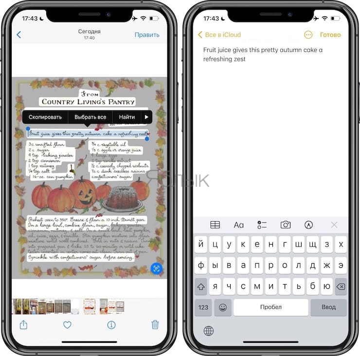 How to recognize text from photos on iPhone