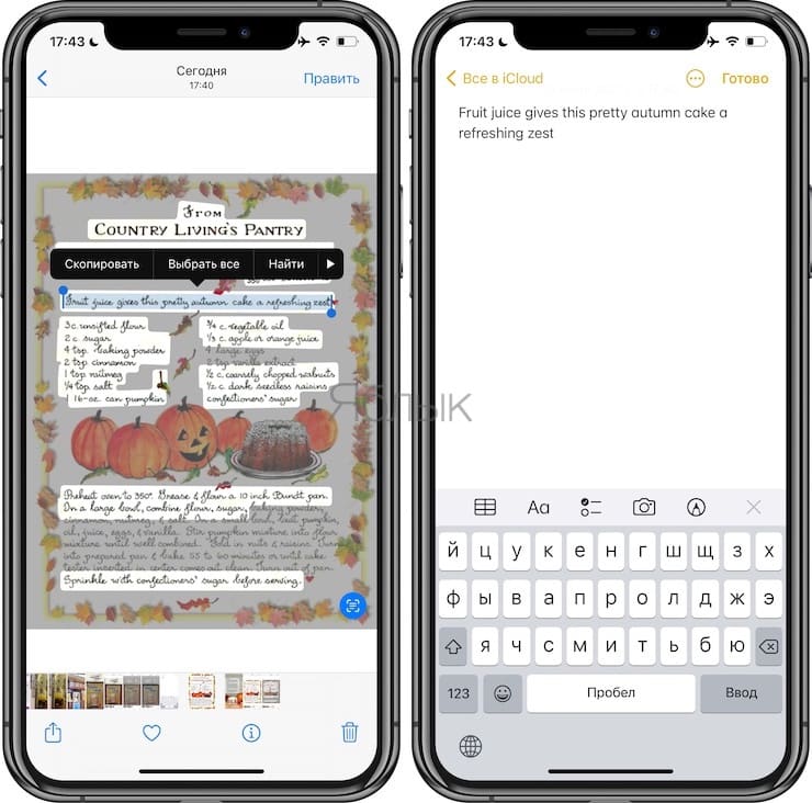 Как скопировать текст с картинки на айфоне