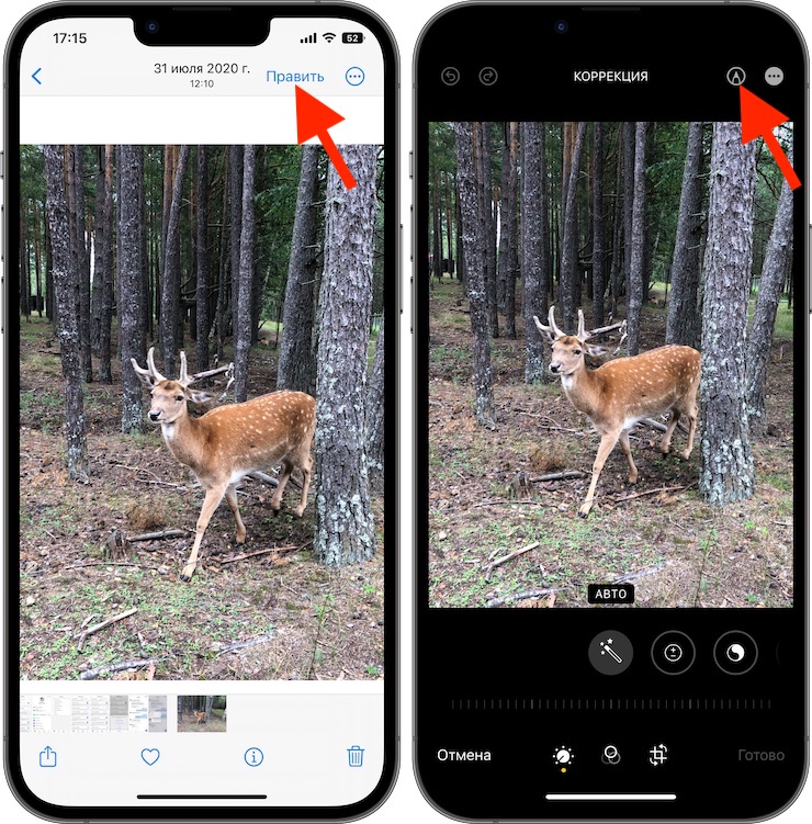 Как увеличить какой-либо фрагмент на фотографии в iPhone и iPad