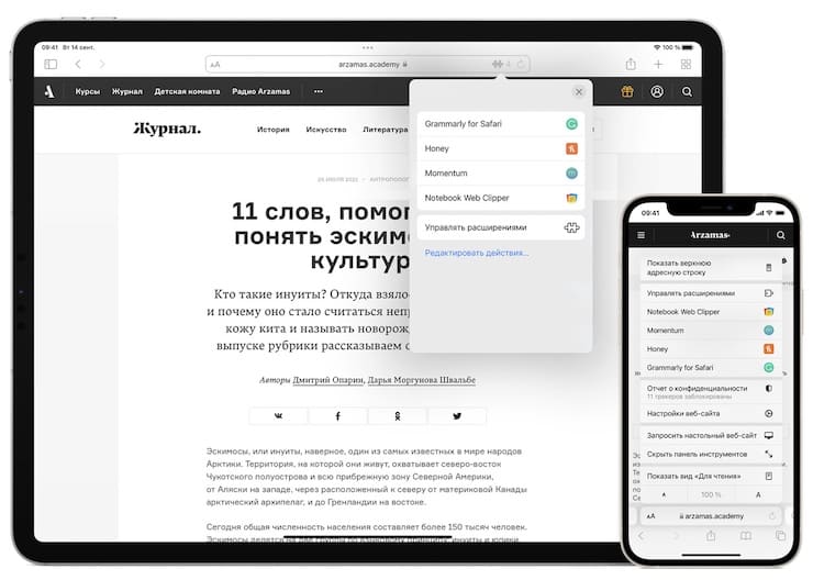 Расширения в Safari на iPhone и iPad