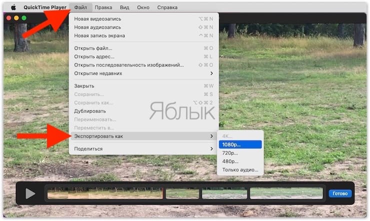 Как склеить несколько видео в одно при помощи QuickTime Player на macOS?