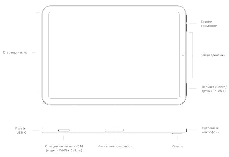 iPad mini 6 - расположение кнопок и разъемов