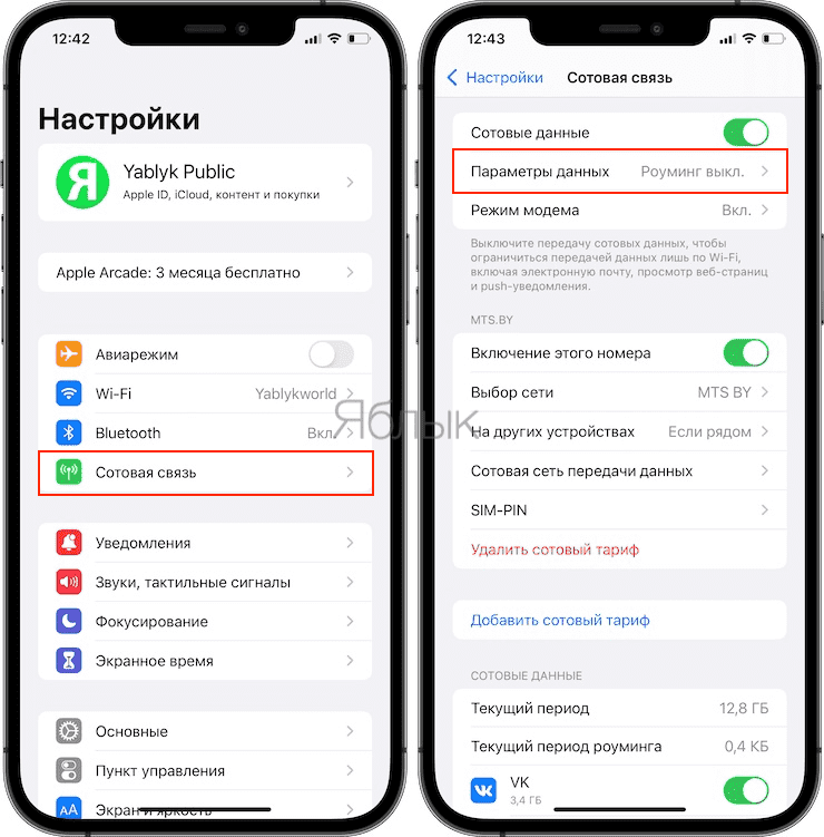 Cellular Data Settings on iPhone