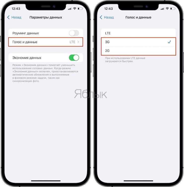 iPhone не ловит сеть: причины, решения