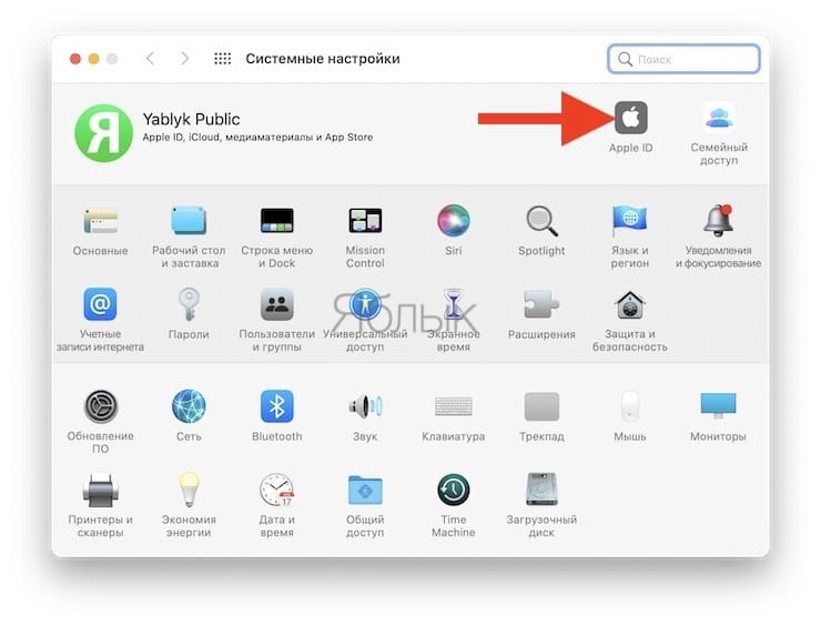 Параметры Apple ID в Системных настройках macOS