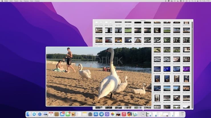 10 фишек Быстрого просмотра (Quick Look) на Mac