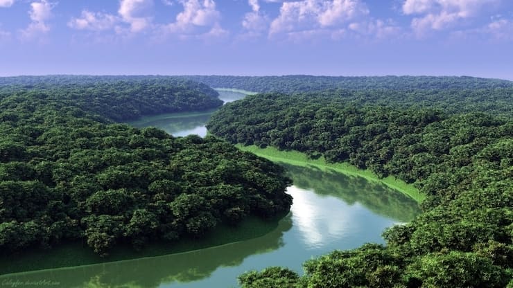 Rivière Amazone