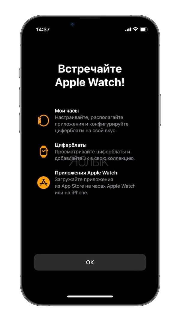 Initial Apple Watch setup