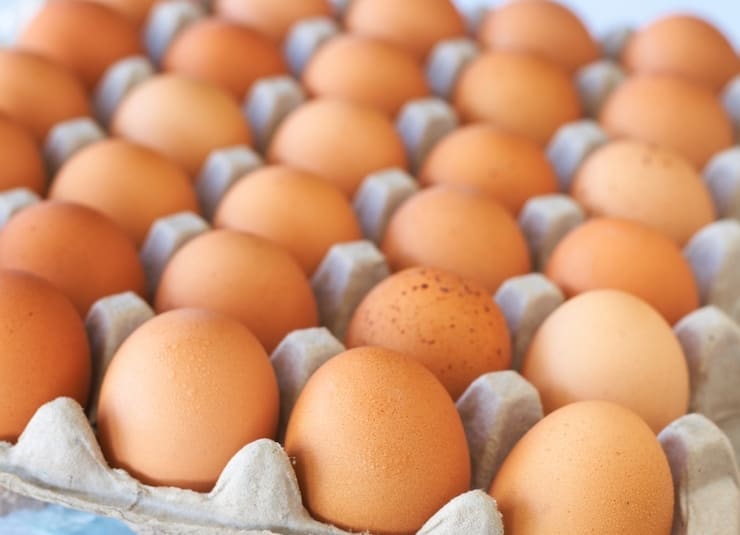 магазинные яйца