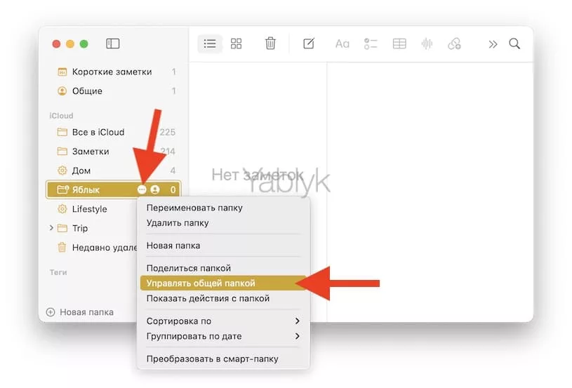 Как создать общую папку заметок на Mac?