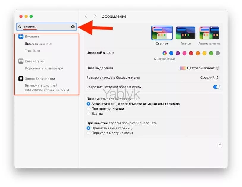Как быстро открывать любые системные настройки в macOS через окно поиска