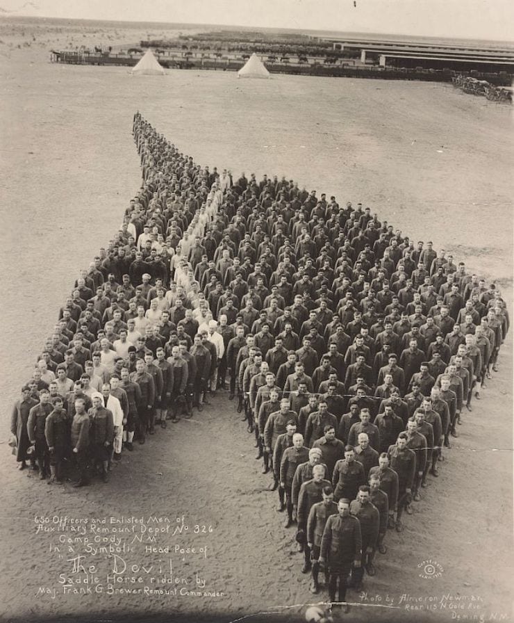 Благодарность животным, 1918