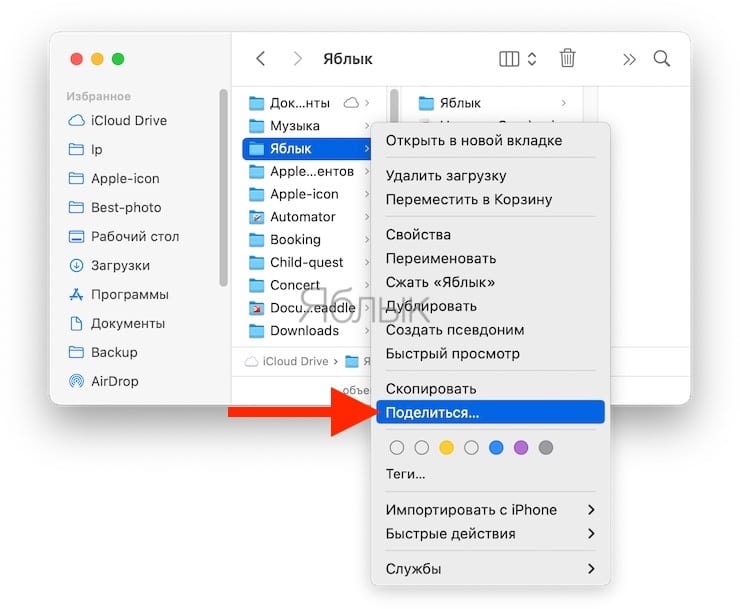 Как поделиться папкой из iCloud Drive на Mac