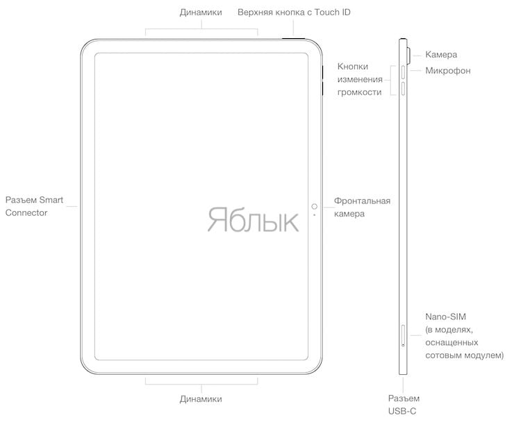Кнопки и интерфейсы iPad 10-го поколения (2022)