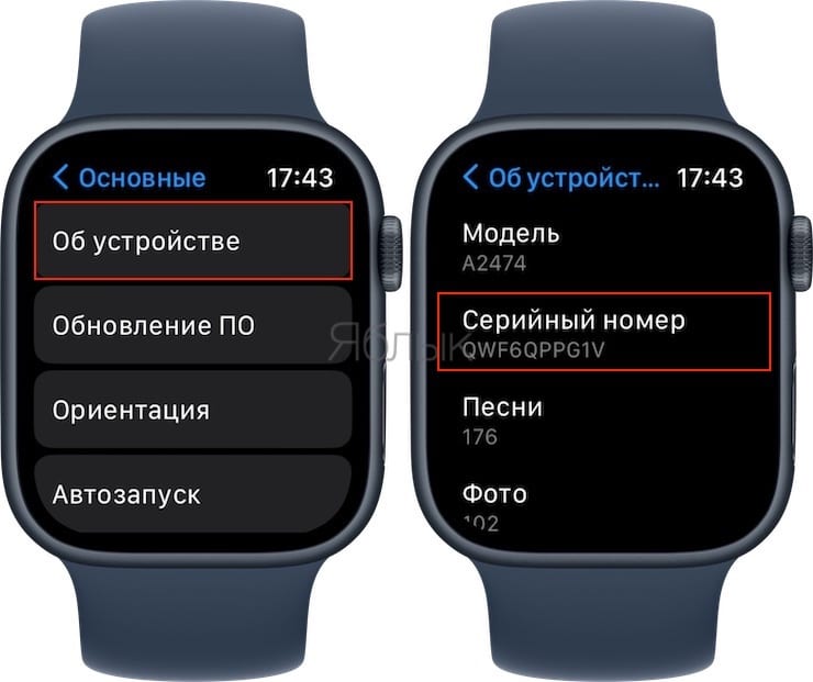 Как узнать модель Apple Watch по серийному номеру