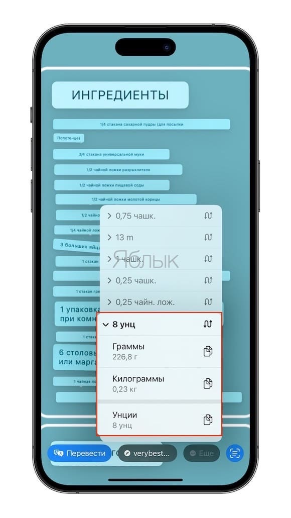 Как распознавать и переводить текст на фото при помощи функции Live Text на iPhone или iPad?