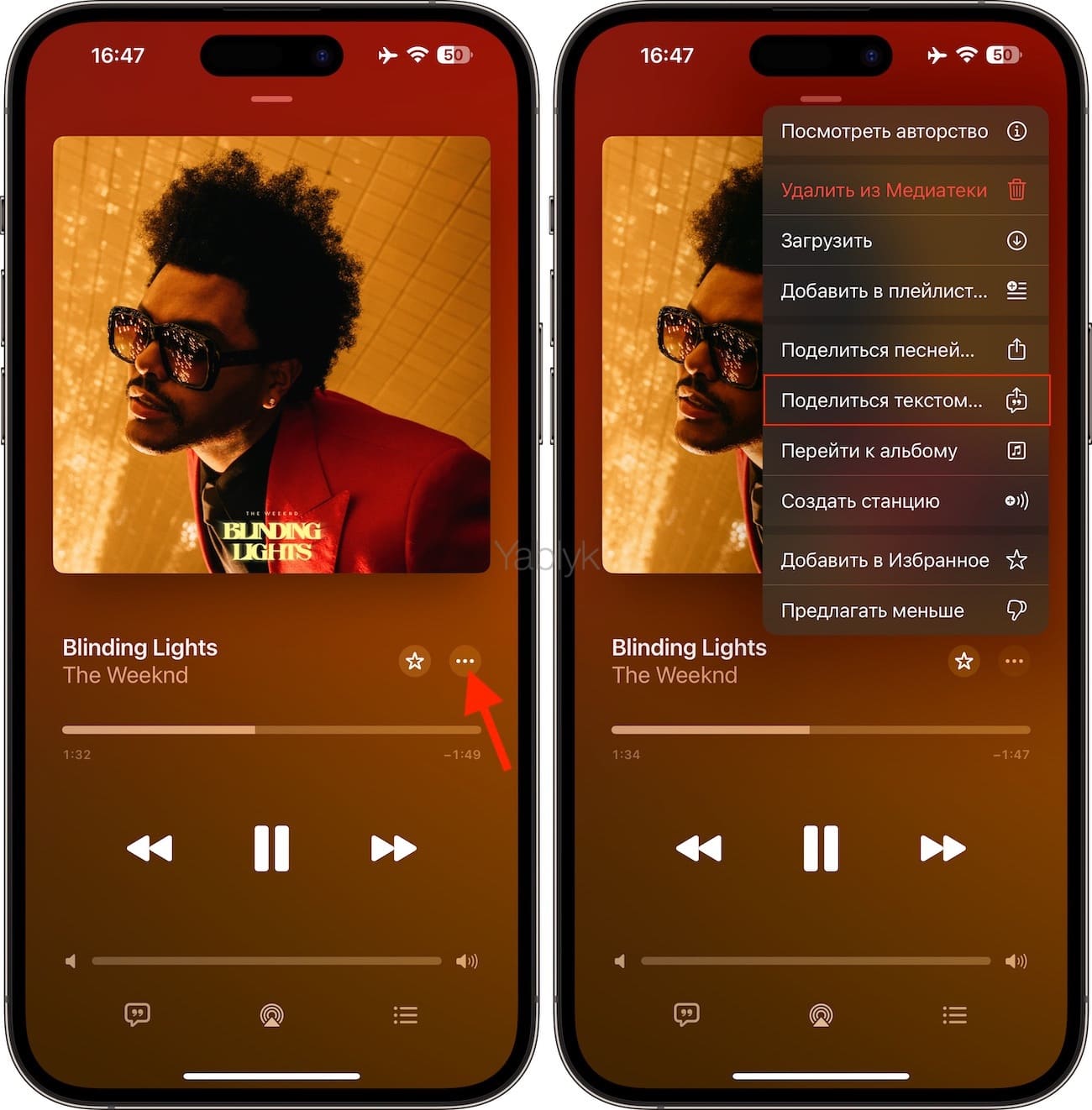 Как посмотреть полный текст песни в Apple Music на iPhone или iPad
