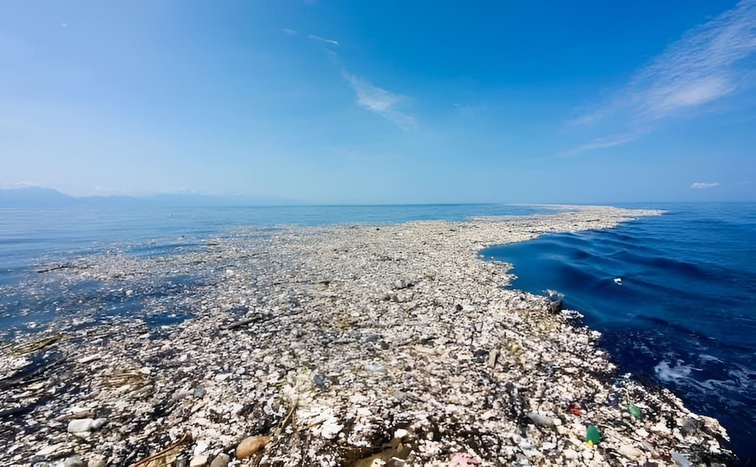 Большое тихоокеанское мусорное пятно – огромный остров из мусора, созданный людьми